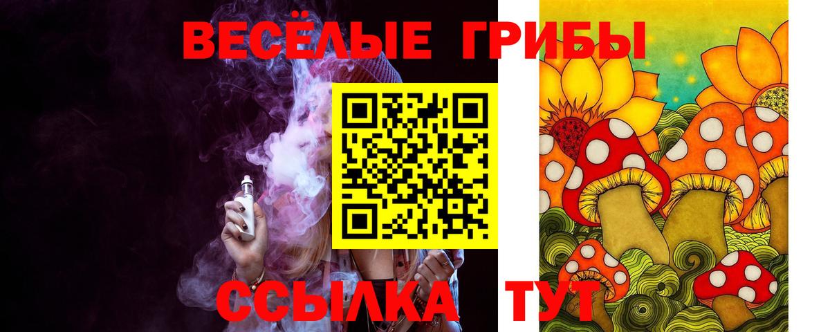 Галлюциногенные грибы прущие грибы  Вход с VPN  Чехов  Псилоцибиновые грибы мицелий 